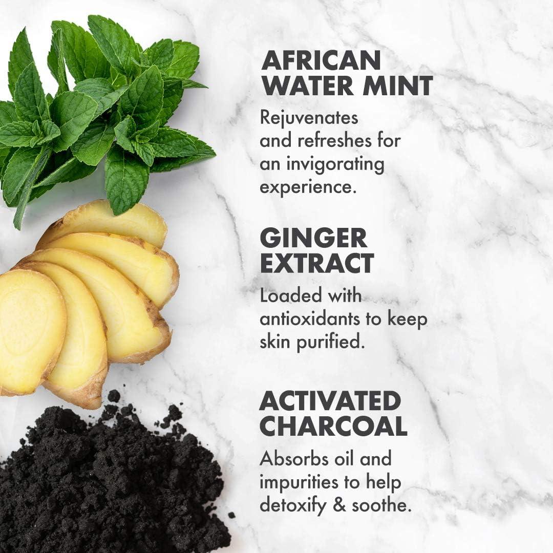 imageSheaMoisture African Wild Water Mint Detox ampamp Stimulate Hand ampamp Body Scrub 12 Ounce Pack of 1