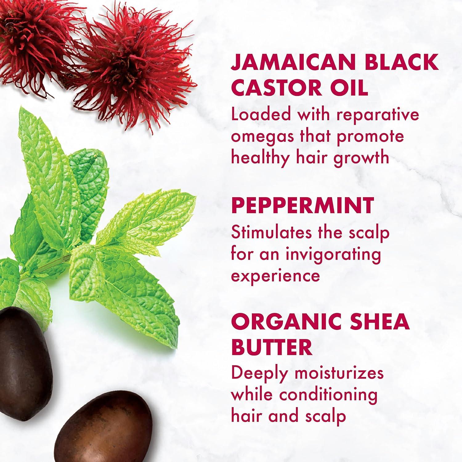 imageSheaMoisture Jamaican Black Castor Oil Strengthen ampamp Restore Smoothie Cream for Unisex 115 Ounce Pack of 1115 Ounce Pack of 1