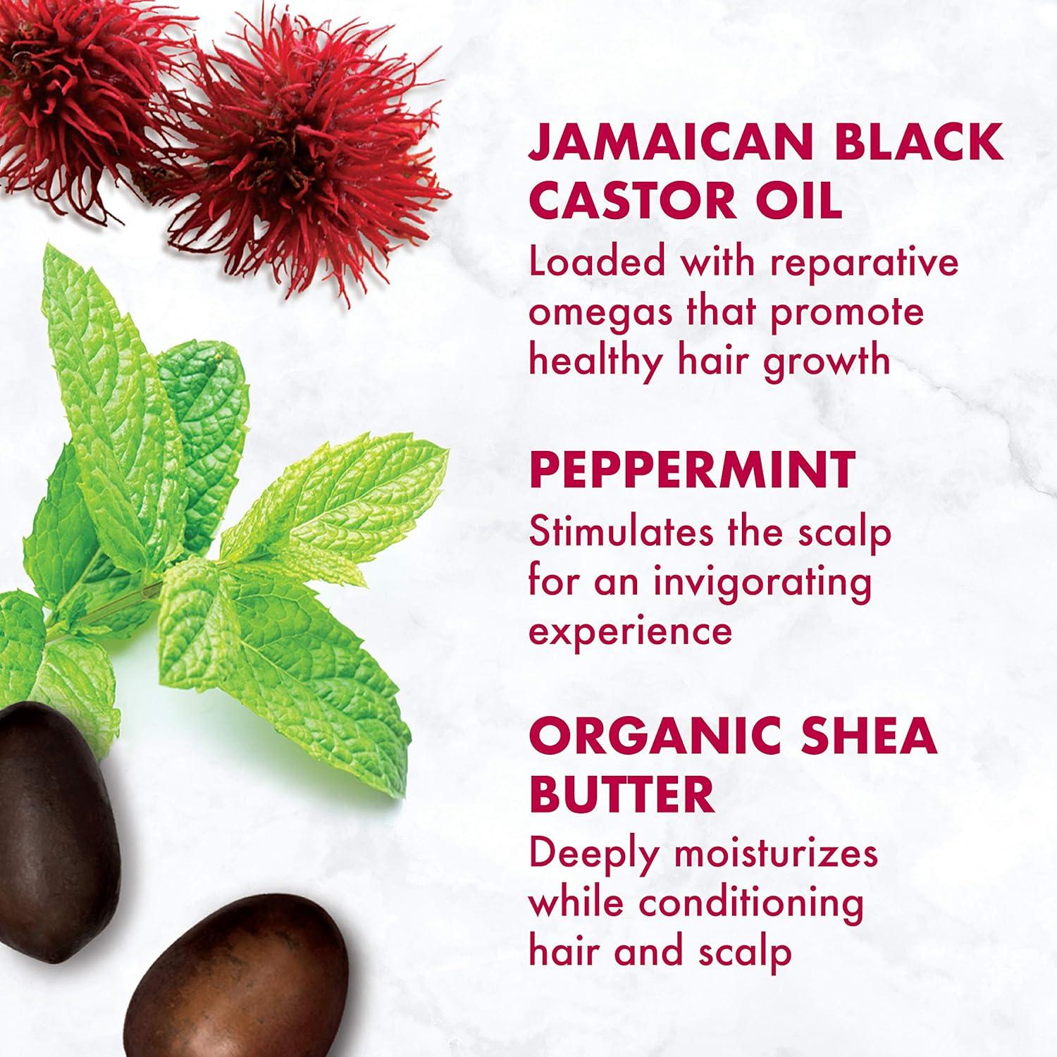 imageSheaMoisture Jamaican Black Castor Oil Strengthen ampamp Restore Smoothie Cream for Unisex 115 Ounce Pack of 112 Ounce Pack of 1