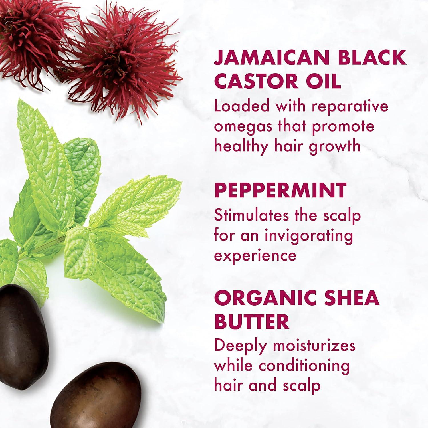 imageSheaMoisture Jamaican Black Castor Oil Treatment Masque Jamaican Black Castor Oil For Dry Hair Paraben Free Hair Mask 115 oz12 Ounce Pack of 1