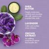 SheaMoisture Bath, Body and Massage Oil Lavender Wild Orchid Calming Moisturizer for Sensitive Skin 8 oz(Lavender and Wild Orchid)