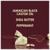 SheaMoisture Conditioner 100% Pure Jamaican Black Castor Oil to Intensely Smooth and Nourish Hair with Shea Butter, Peppermint and Apple Cider Vinegar 13 oz(13 Fl Oz (Pack of 1))
