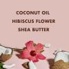 SheaMoisture Curl and Shine Conditioner For Thick, Curly Hair Coconut and Hibiscus Sulfate Free, 13 Fl Oz (Pack of 2)(13 Fl Oz (Pack of 2))