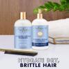 SheaMoisture Hydrate & Repair conditioner For Damaged Hair Manuka Honey & Yogurt Shea Butter Shampoo and Conditioner 13 Fl.oz(12.5 Fl Oz (Pack of 3))