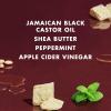 SheaMoisture Jamaican Black Castor Oil Strengthen & Restore Smoothie Cream for Unisex, 11.5 Ounce (Pack of 1)(11.5 Ounce (Pack of 1))