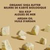 SheaMoisture Raw Shea Butter Deep Moisturizing Hair Masque, 11.5 fl oz – Deep Conditioner for Curly Hair to Moisturize and Renew, Sustainable, Organic, Cruelty-Free(Shea Butter)