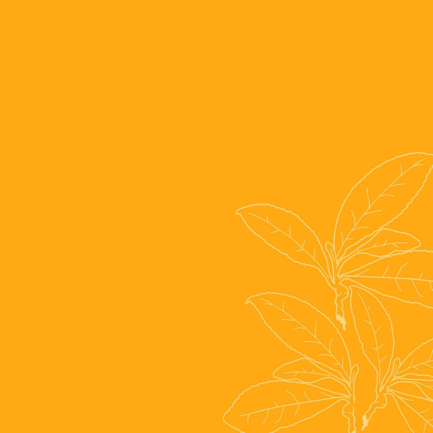 imageSheaMoisture Weightless Hydrating Detangler For Moisture Resistant Curly Coily Hair Low Porosity Lightweight Hair Detangler 8 oz8 Fl Oz Pack of 1