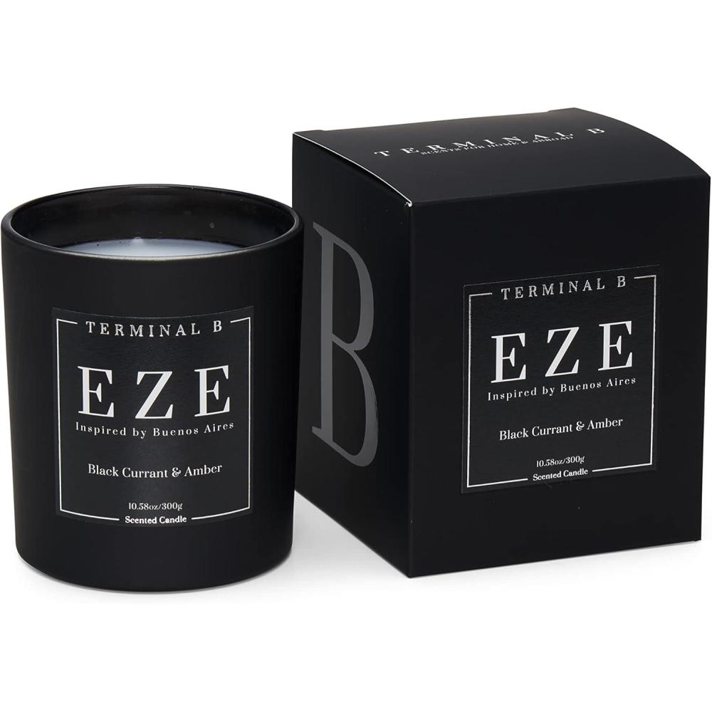 imageLuxury Candle EZE Black Currant ampamp Amber Inspired by Buenos Aires HandPoured in Los Angeles 1058 oz 60 Hour Burn TimeEZE Buenos Aires Black Currant Amber