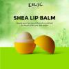 Elle Vie Unscented Shea Lip Balm, Shea Butter Nourishing Lip Balm, Long-Lasting Moisturizing Lip Balm, Non-Sticky Avocado Oil Lip Balm, Natural Lip Balm
