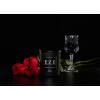 Luxury Candle | EZE – Black Currant & Amber | Inspired by Buenos Aires | Hand-Poured in Los Angeles | 10.58 oz, 60+ Hour Burn Time(EZE – Buenos Aires: Black Currant & Amber)