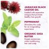 SheaMoisture Deep Conditioning Hair Masque for Curly, Coily Hair High Porosity Deep Conditioner to Fortify Hair 11 oz(2 Ounce (Pack of 1))